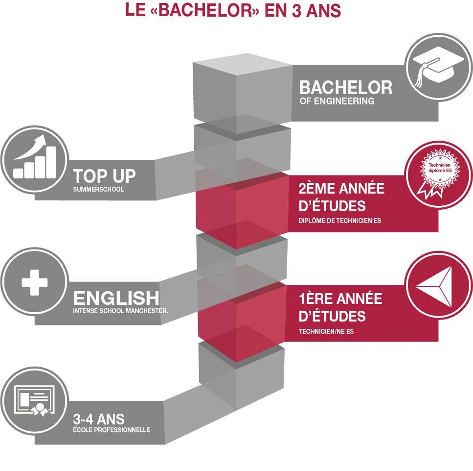 Le Bachelor en 3 ans