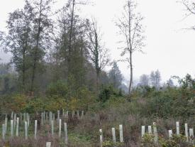 Studienstart 2022 Biel Wald